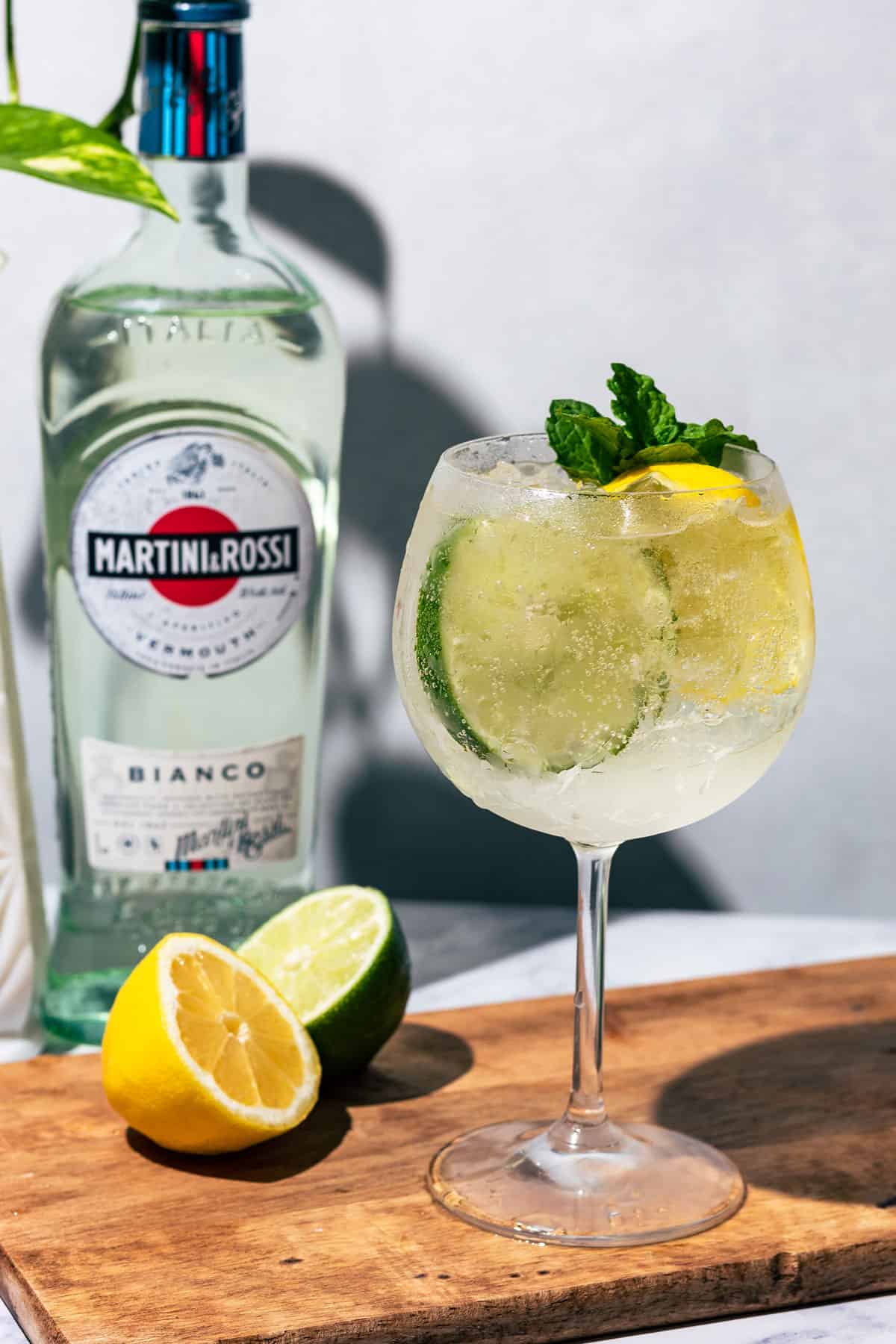 Martini Bianco Vermouth