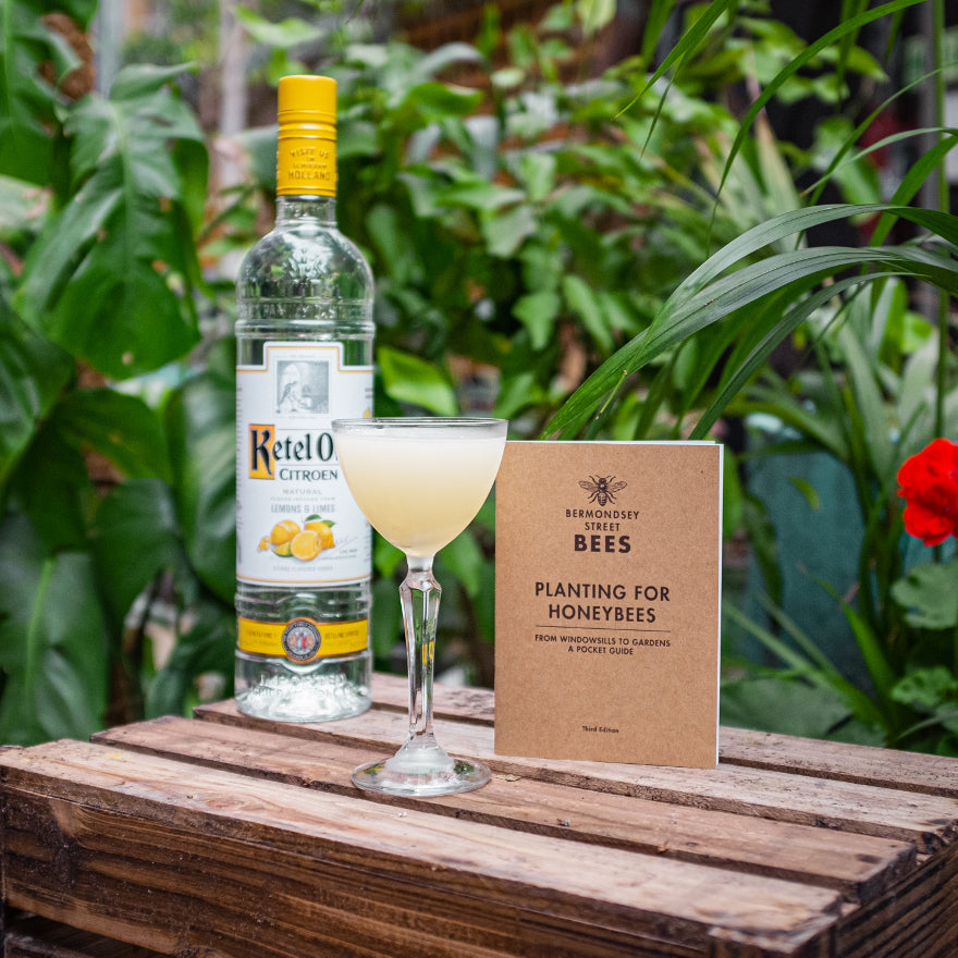 Ketel One Citroen